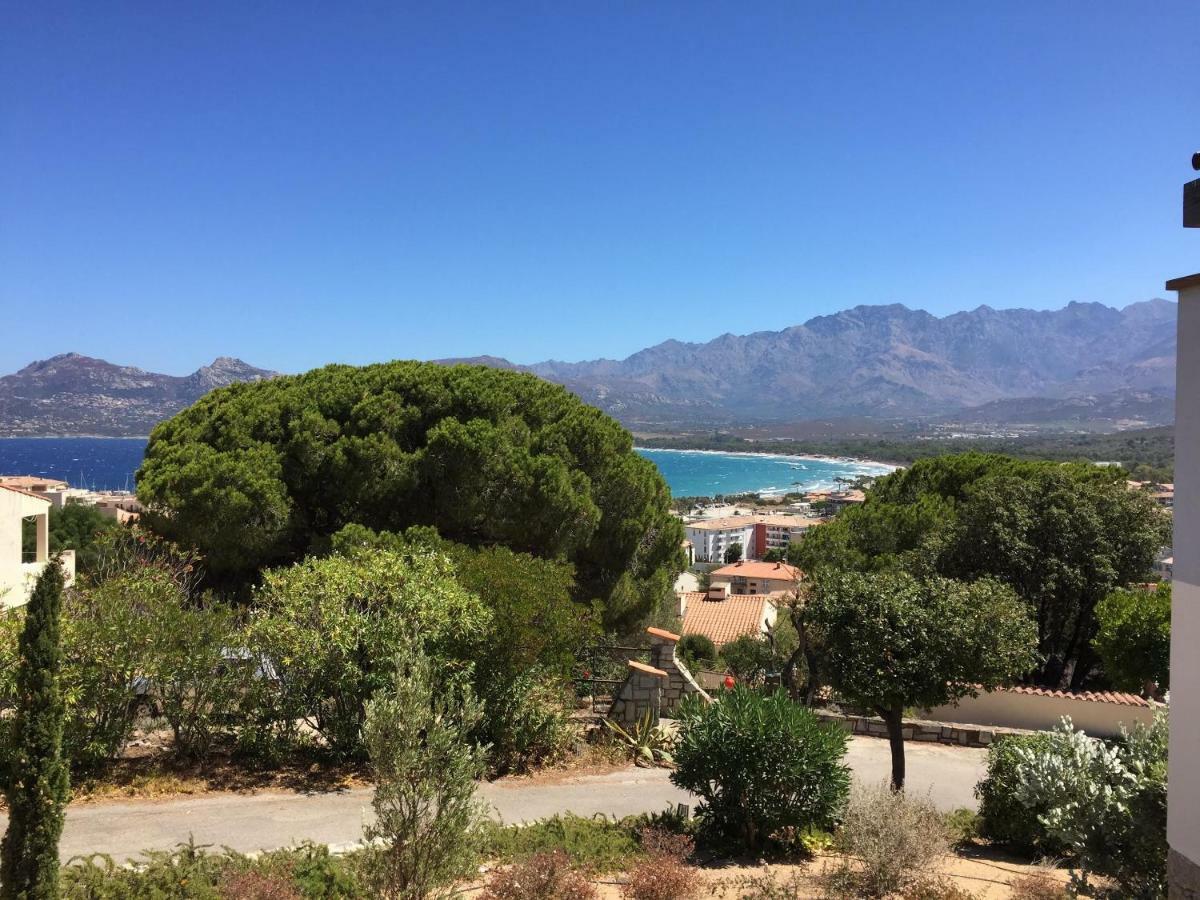 Appartement Calvi Calvi  Exterior photo